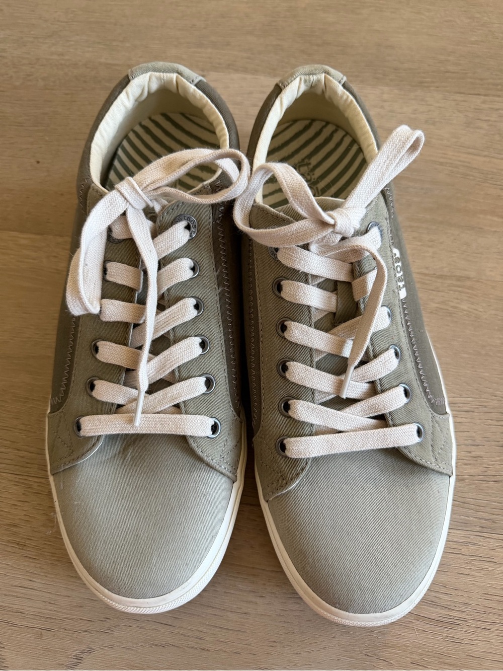 Taos Footwear Olive Canvas Sneakers with Cream Laces
